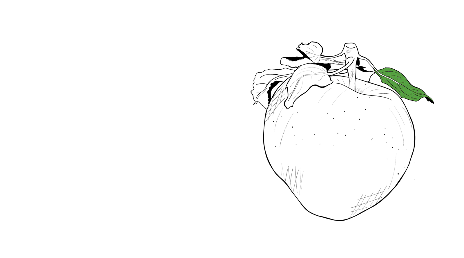 Line drawing of an apple