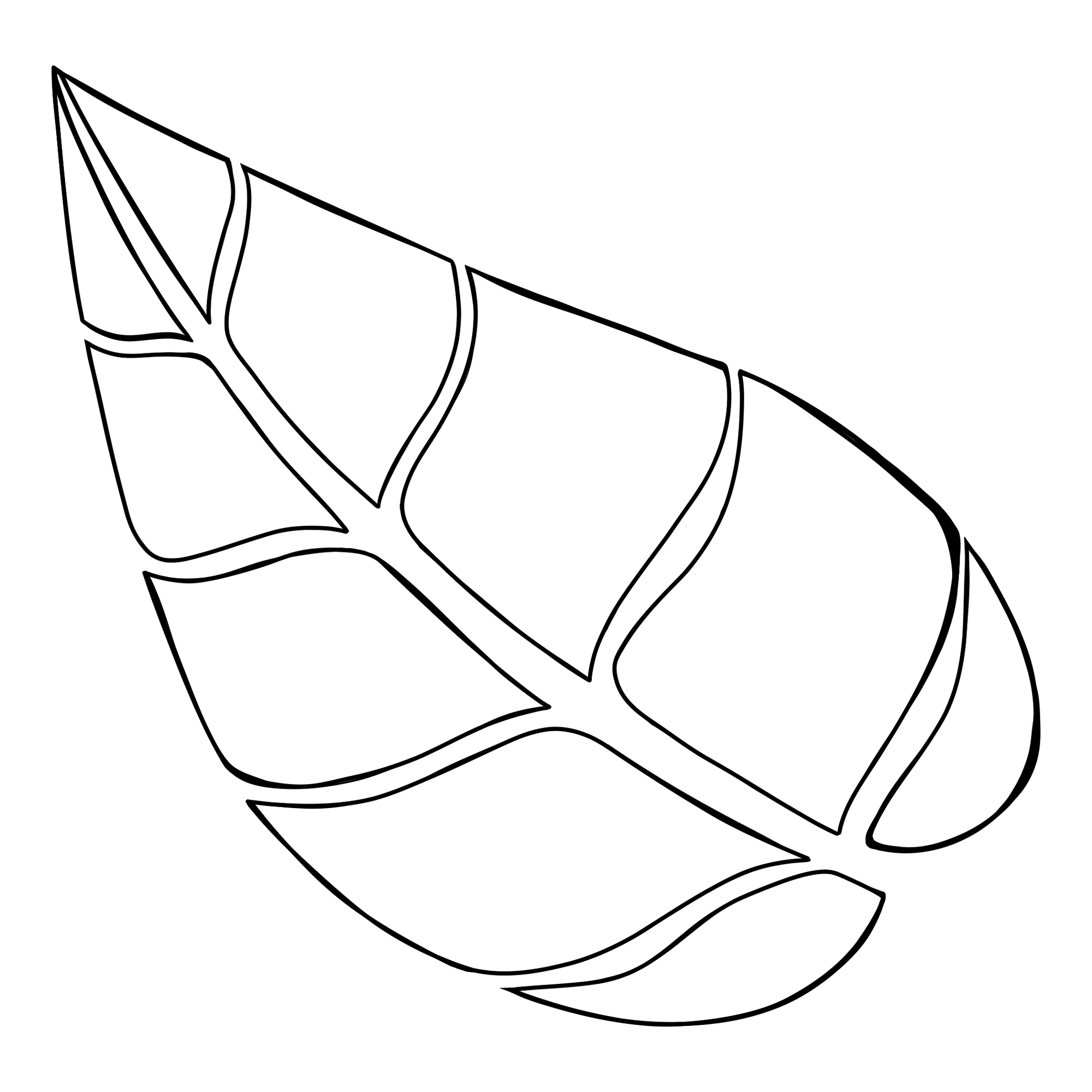 line drawing of leaf logo