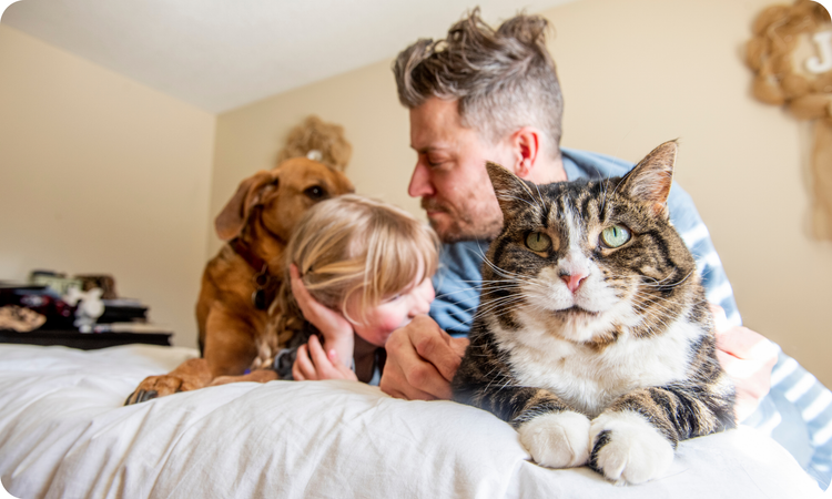 Digestive Care Diets