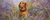 Low Fat Kangaroo-MAINT For Dogs