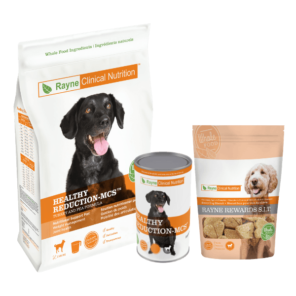Weight Management Diets and Treats for Dogs - Rayne Clinical Nutrition