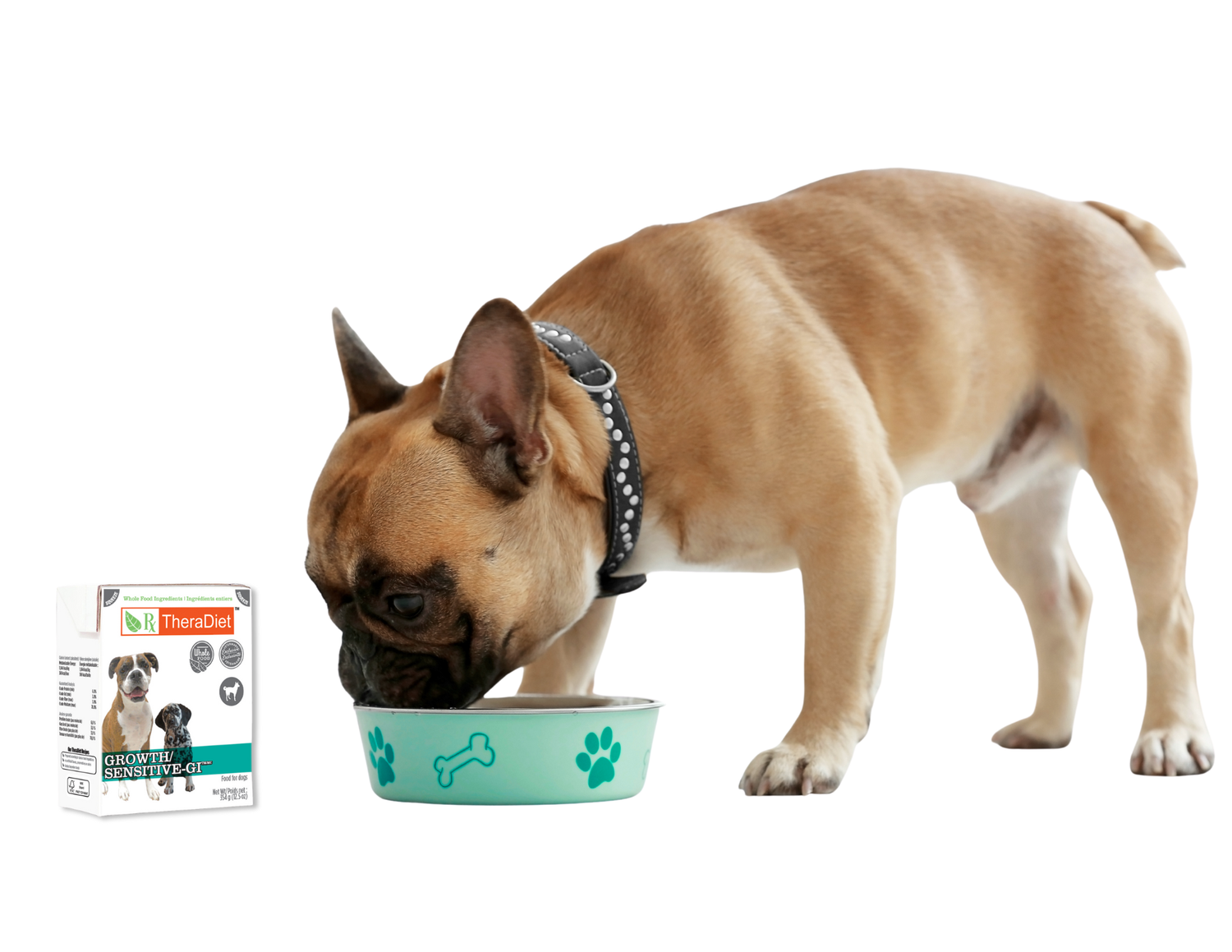dog eating thera diet growth / sensitive GI from a bowl