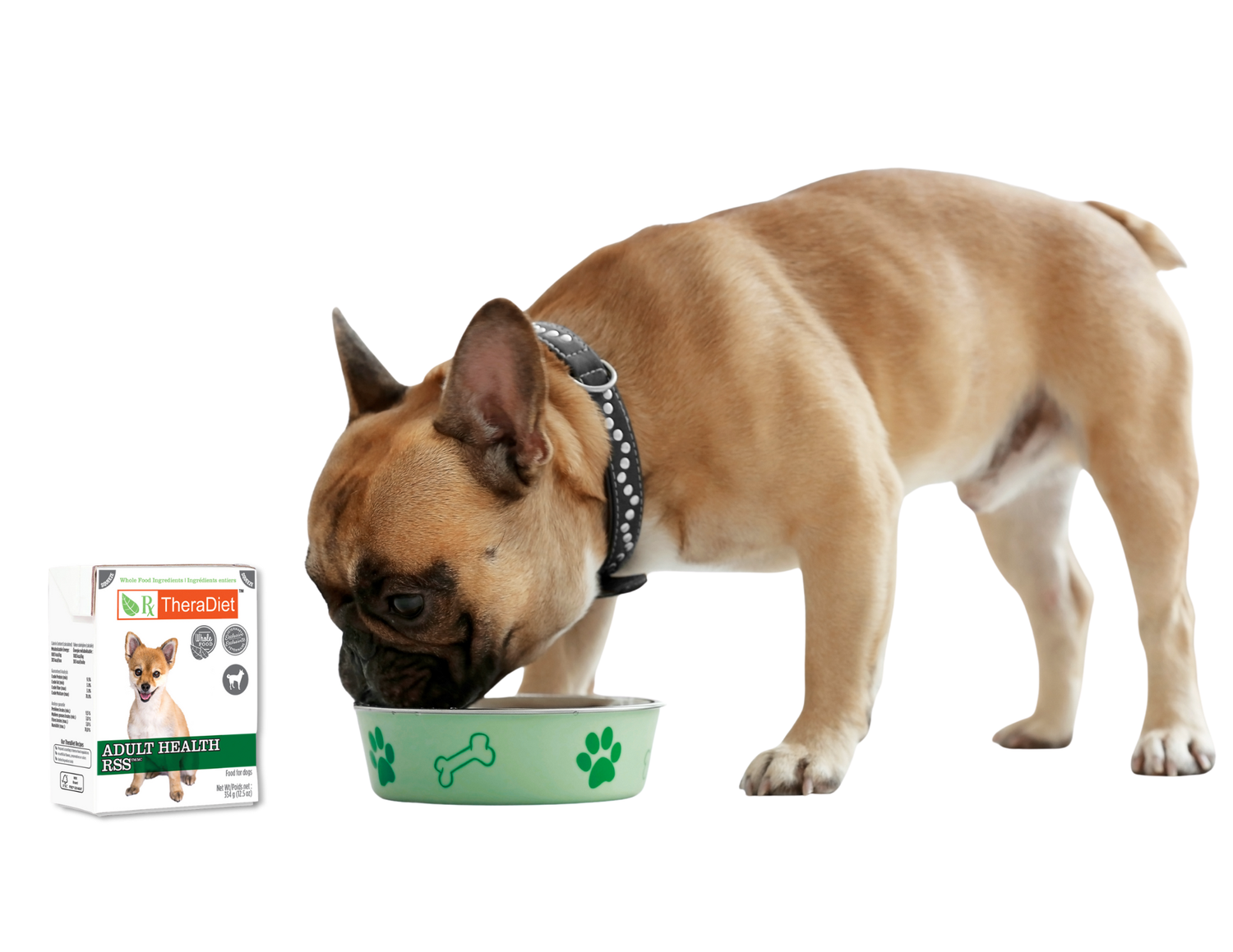 dog eating theradiet adult health-rss from a bowl