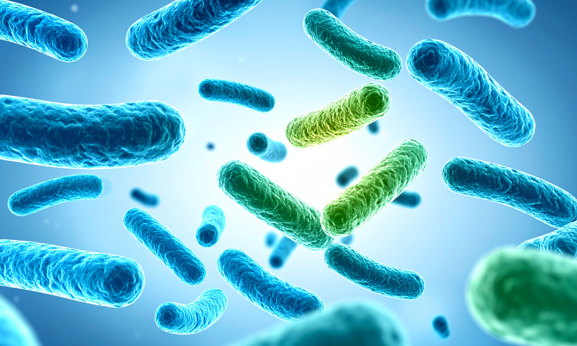 decorative proteins stock photo