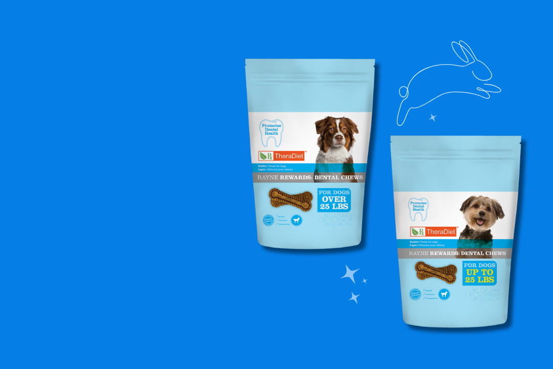 Rayne Nutrition | Whole Food Ingredients, Less-Processed Pet Food