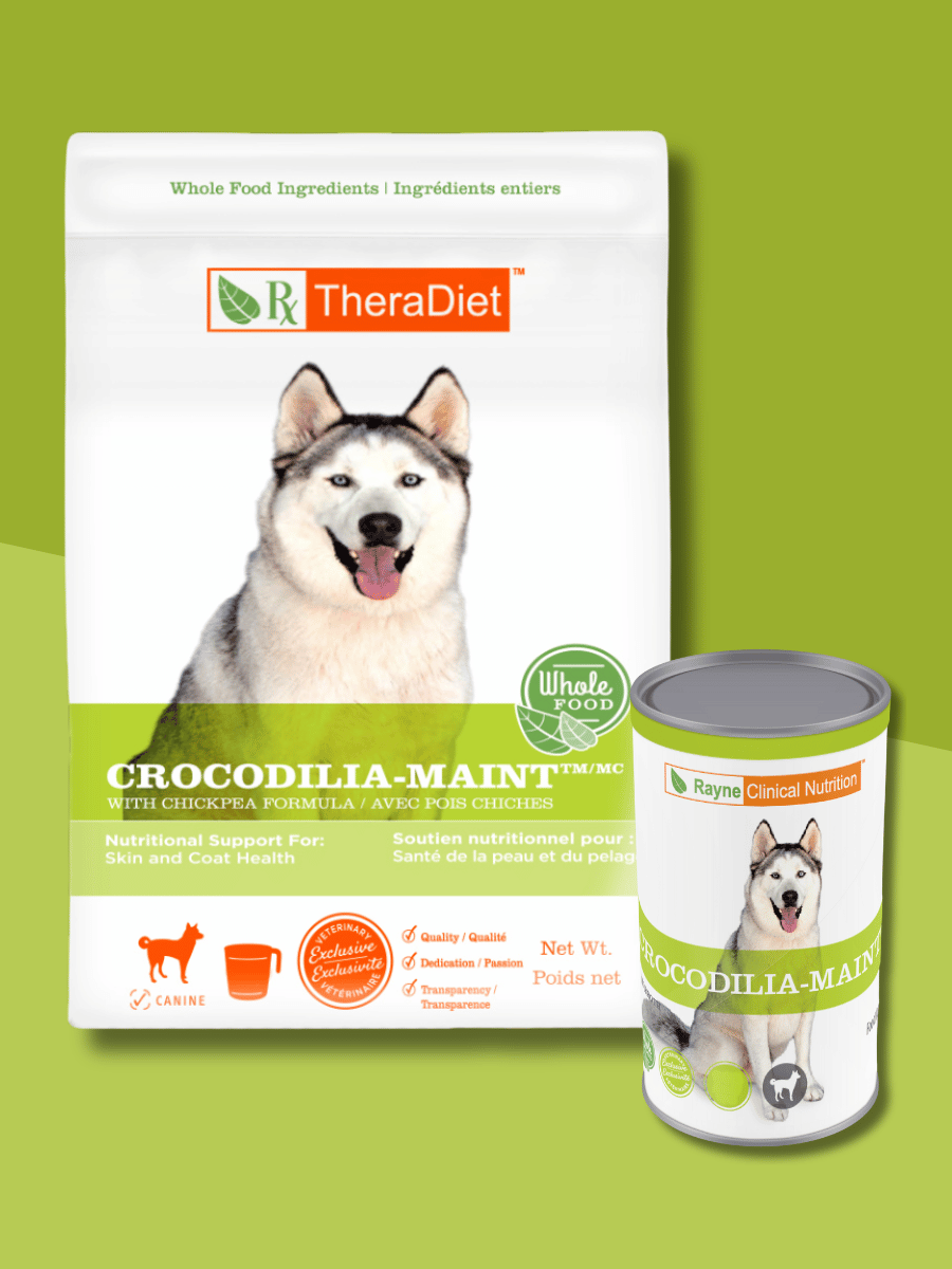 Rayne kangaroo top dog food