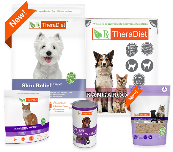 spread of different rayne food options