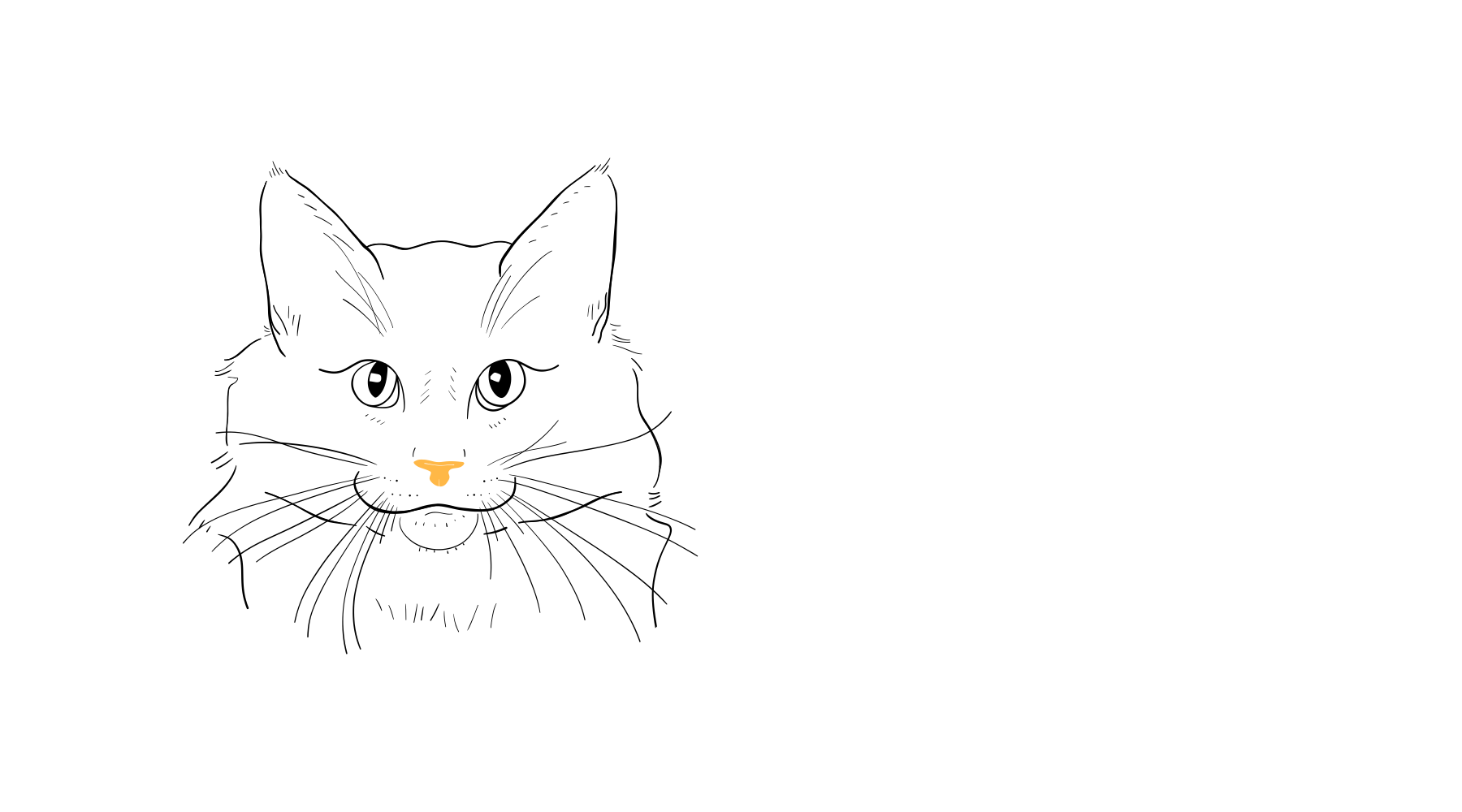 line drawing of a cats front facing portrait