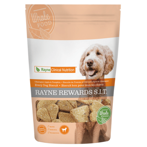 Rayne Rewards Apple & Pumpkin Biscuits for Dogs