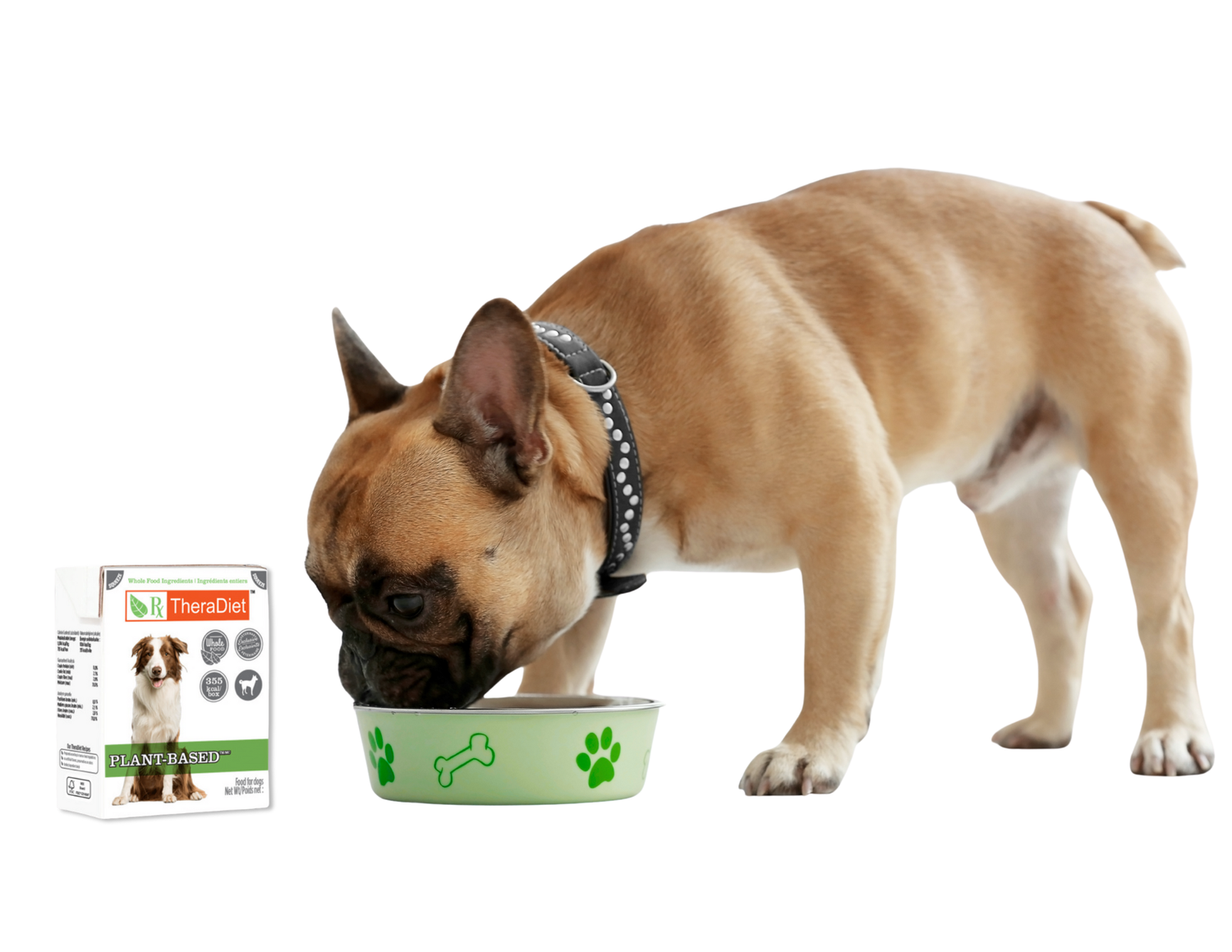 photo of a dog eating thera diet from a bowl
