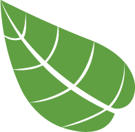 green leaf logo