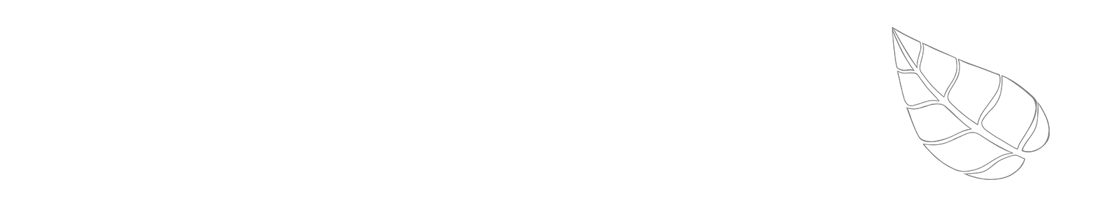 Line drawing of the Rayne leaf logo.