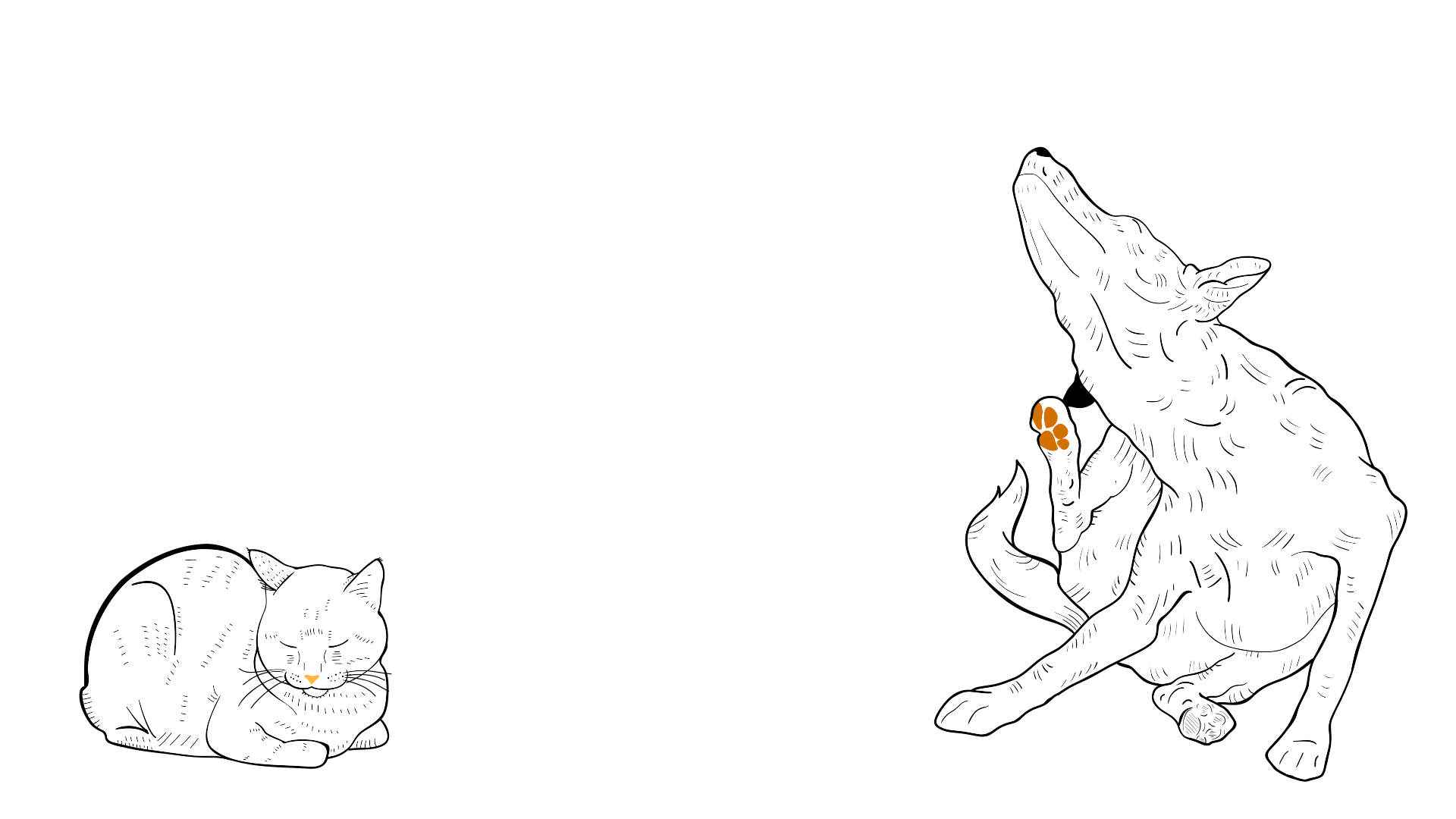 drawing of a sleeping cat and a dog sitting and scratching its ear with it's back paw