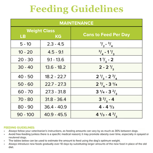 Crocodilia-MAINT Canned Paté Dog Food