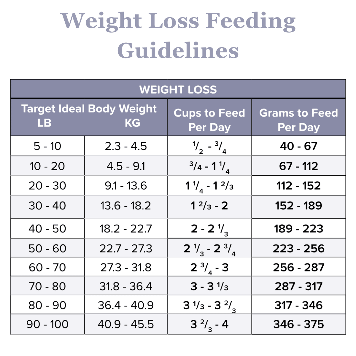 Skin Relief AntiItch Dry Dog Food Canine Skin Relief Rayne Nutrition