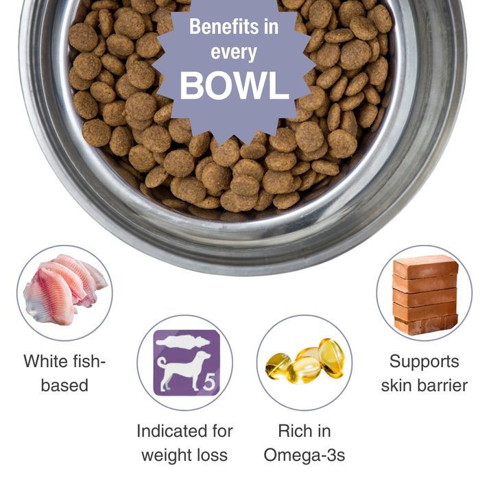 Skin Relief Anti-Itch Dry Dog Food | Canine Skin Relief | Rayne ...