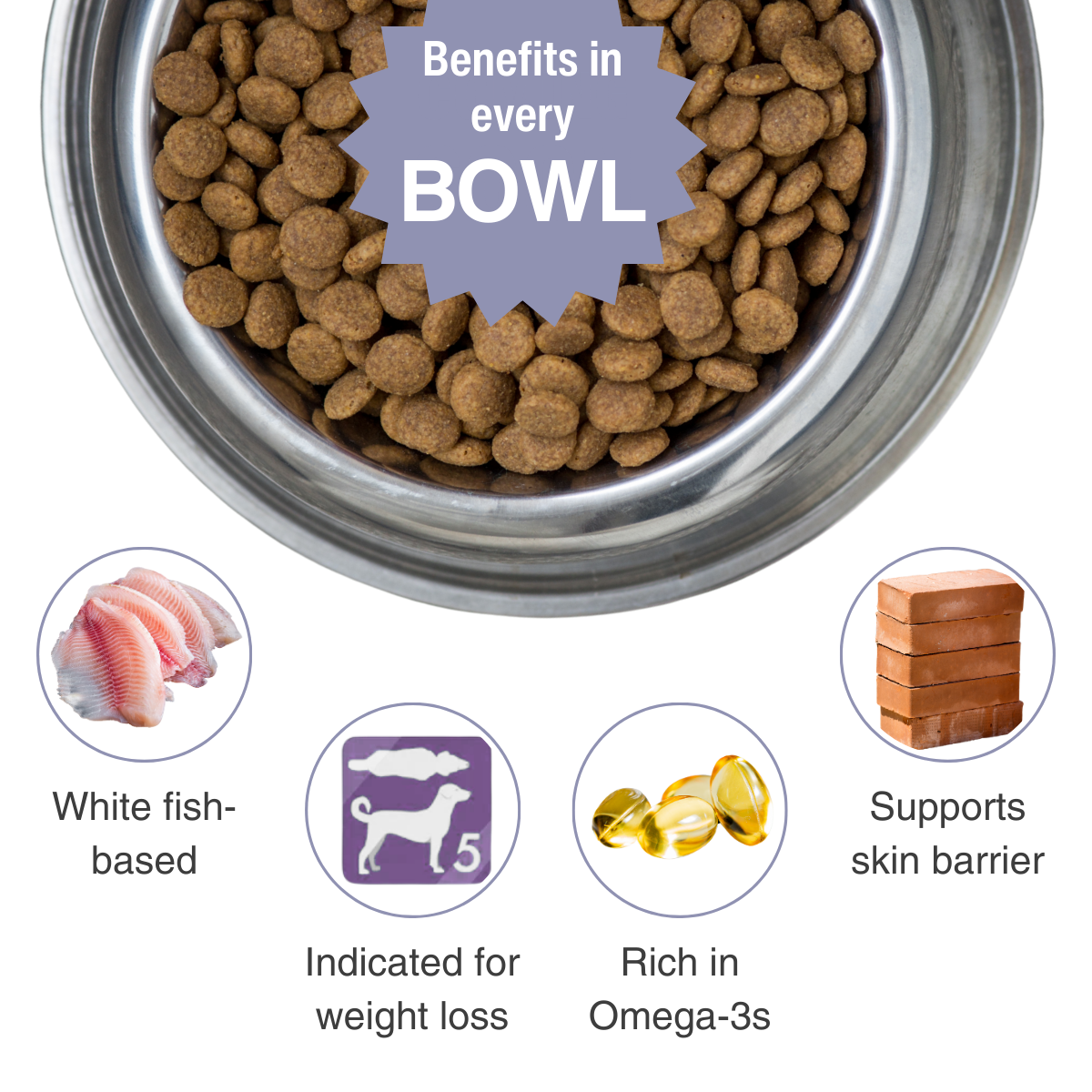 View of Skin Relief Anti-Itch Dry Dog Food | Canine Skin Relief | Rayne Nutrition