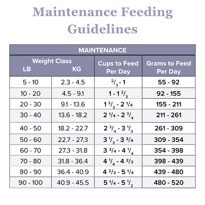 Skin Relief Dry Dog Food