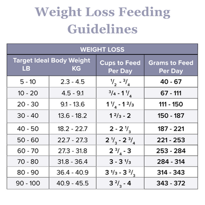 Skin Relief Dry Dog Food