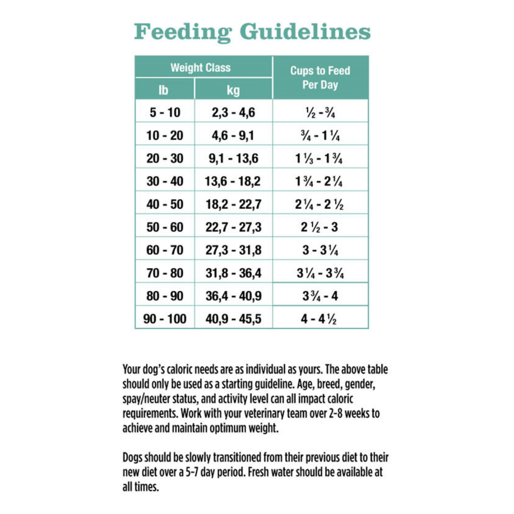 Dry Kibble for Dogs | Whole Food Diet for Digestive Health - Rayne ...