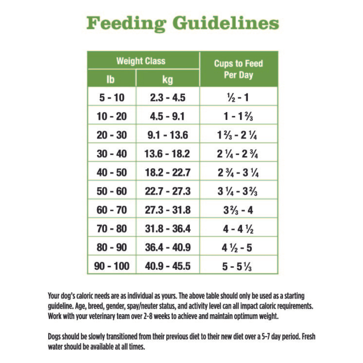 Adult dog feeding clearance