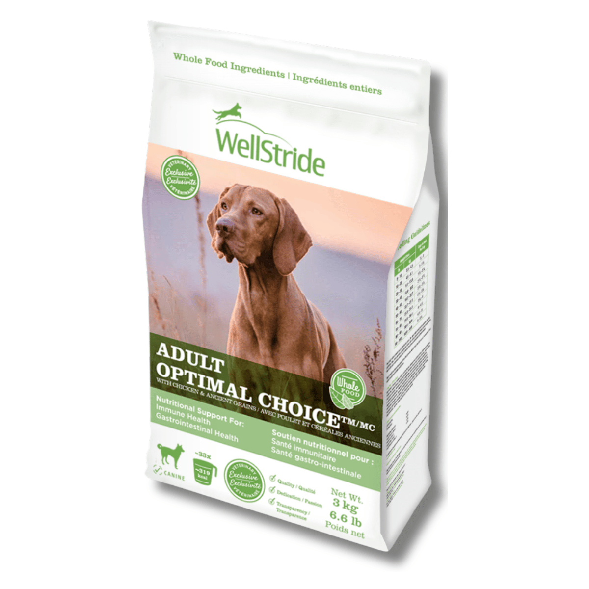 Adult dry dog food best sale