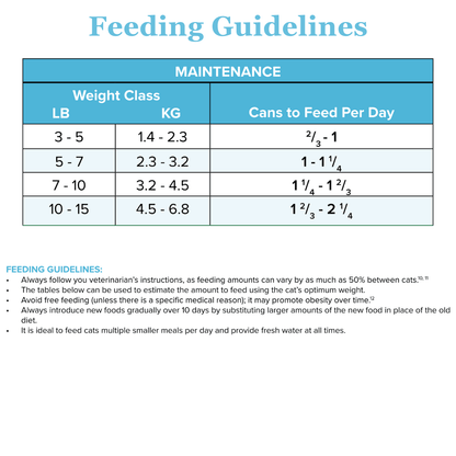 Rabbit-MAINT Canned Paté For Cats