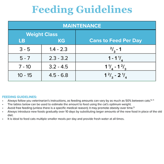 Rabbit-MAINT Canned Paté For Cats