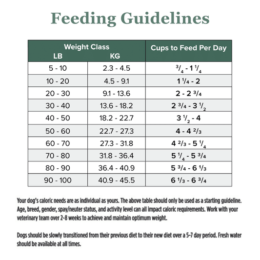 EcoDerm-BSFL Dry Dog Food