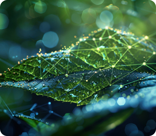 decorative stock photo of leaf