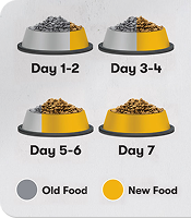 Diet Transition Guide